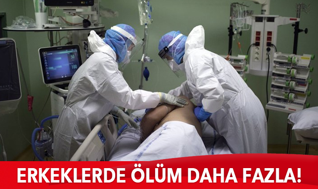 Koronavirüs (Covid-19) hastası erkeklerin ölüm riskinin kadınlardan daha fazla olduğu ortaya çıktı. 67 bin Covid-19 hastasının incelendiği çalışmada, erkeklerin virüse bağlı yaşamını yitirme oranının kadınlardan yüzde 30 daha fazla olduğu tespit edildi.