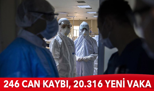 Türkiye’de son 24 saatte 20.316 yeni vaka tespit edildi, 246 kişi hayatını kaybetti